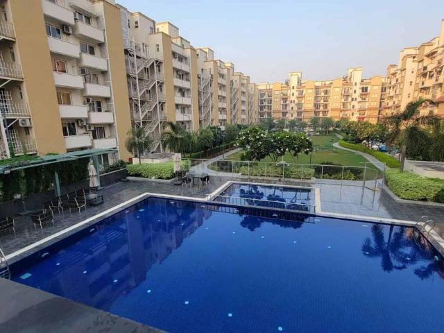 3.5 BHK Apartment in Sector 65 for resale Gurgaon. The reference number is 19969040