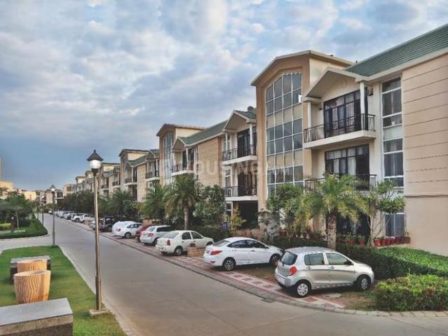 3.5 BHK Independent Builder Floor in New Chandigarh for rent Chandigarh. The reference number is 20215025