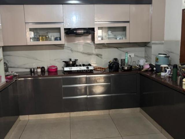 3.5 BHK Independent Builder Floor in Sector 02 for rent Bahadurgarh. The reference number is 16625417