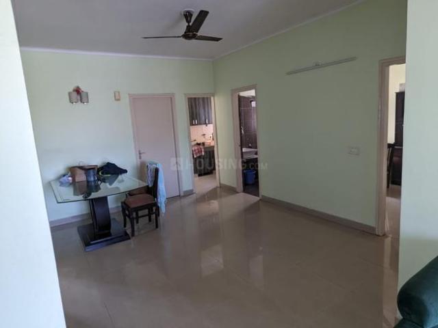 3.5 BHK Independent Builder Floor in Sector 51 for rent Gurgaon. The reference number is 20753498