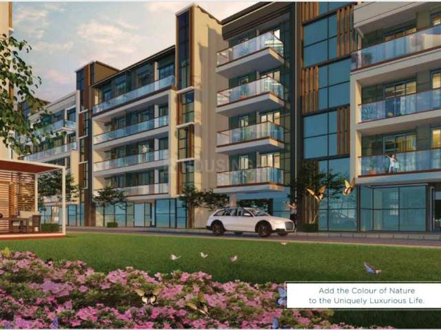 3.5 BHK Independent Builder Floor in Sector 63 for resale Gurgaon. The reference number is 20283155