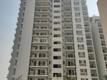 3.5 BHK Independent Builder Floor in Sector 77 for resale Gurgaon. The reference number is 20305924