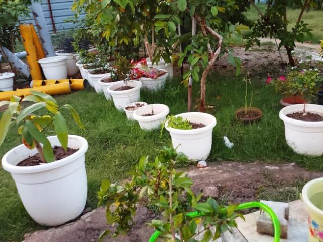 3.5 BHK Independent House in Palam Vihar for resale Gurgaon. The reference number is 20379216