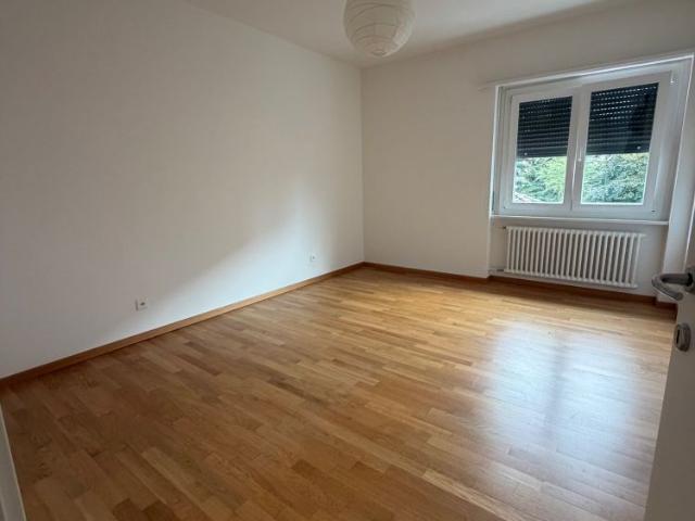 3.5 locali afffitto ristrutturato