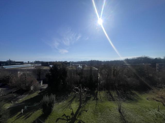 3.5 Room apartment