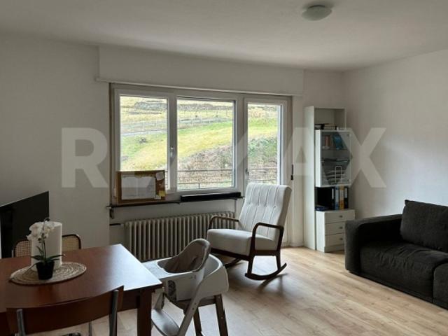 3.5 Room apartment