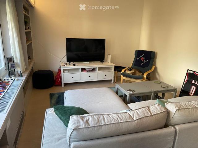 3.5 Room Apartment Close to Train Station