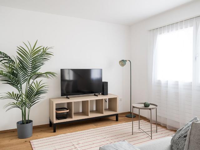 3.5 room apartment in the old town of Base, Basel Amsterdam Apartments for Rent