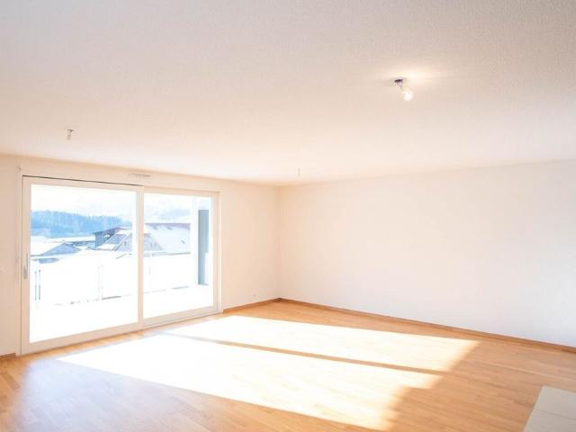 3.5 room apartment on the ground floor in Tour de Trême!