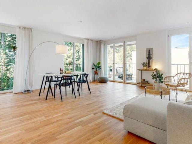 3.5 room apartment with large terrace for rent