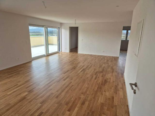 3.5 room attic apartment with terrace in Deitingen