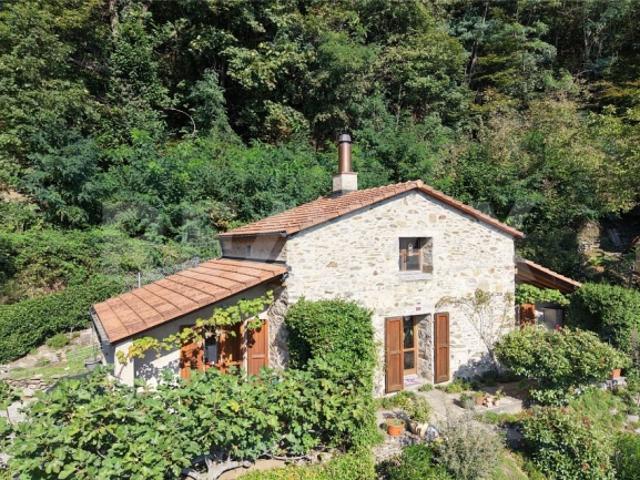 3.5 Room single house