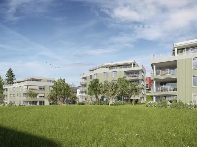 3.5 Zi Gartenwohnung Murhubel Triengen