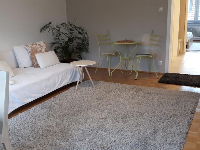 3,5 Zi. Wohnung modern und ruhig mit Lift Nähe Prinzregententheater mit Balkon und Stellplatz, Munchen Amsterdam Apartments for Rent