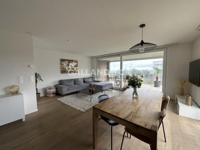 3,5 Zimmer mit grosser Terrasse Loggia