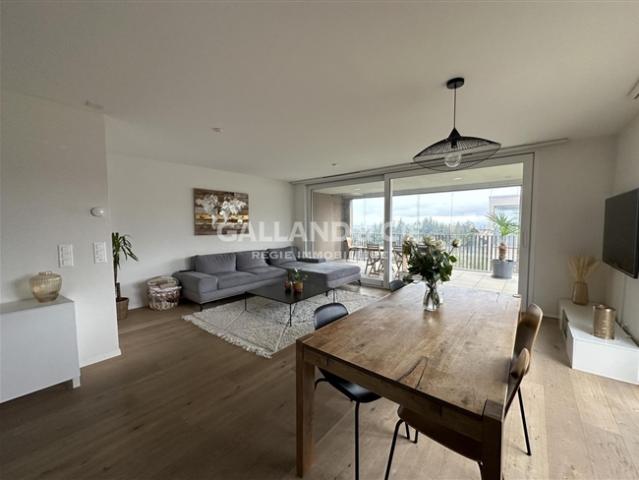 3.5 Zimmer mit grosser Terrassen Loggia