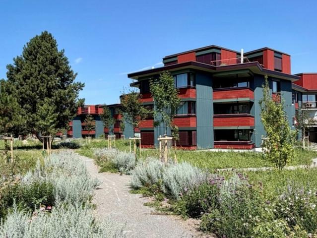 3.5 + Zimmer Neubau Wohnung in Dietikon
