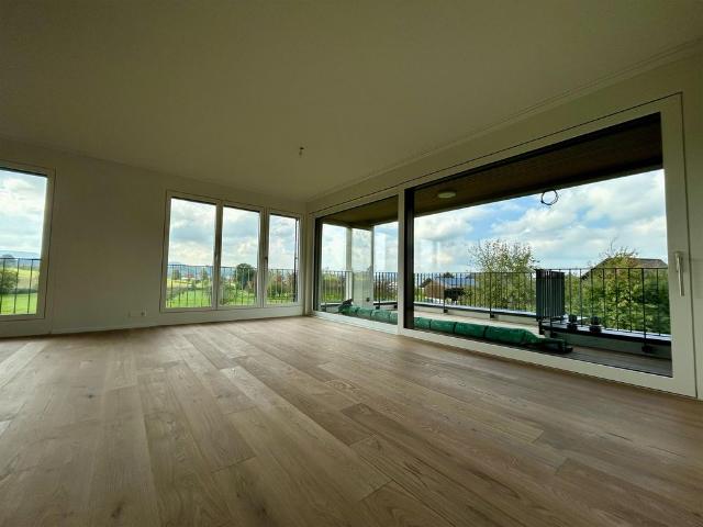 3.5 Zimmer Neubau Eigentumswohnung in Buttisholz zu vermieten