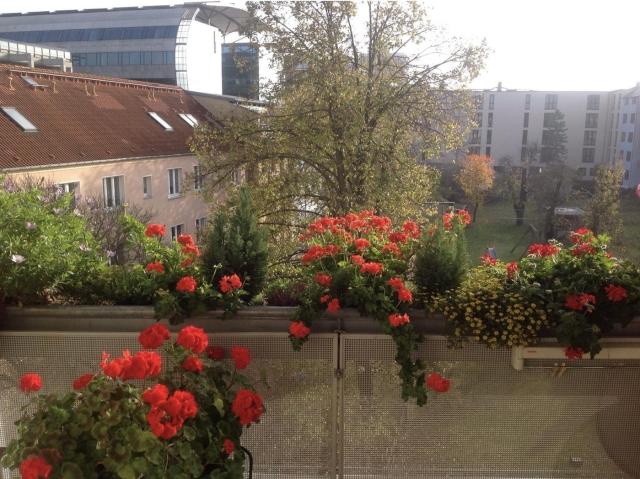 3,5 Zimmer, Südbalkon, Fahrstuhl, PKW Stellplatz Kröpeliner Tor Vorstadt