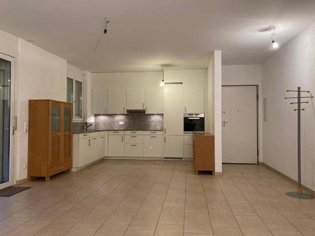3.5 Zimmer Wohnung, 3,5 locali con giardino, Pregassona, Lugano