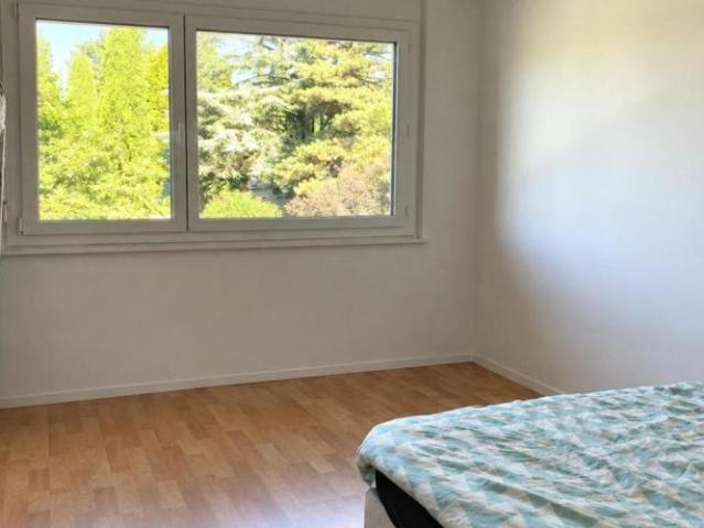 3,5 Zimmer Wohnung 100m2 Zentrum Vevey See und Bergblick