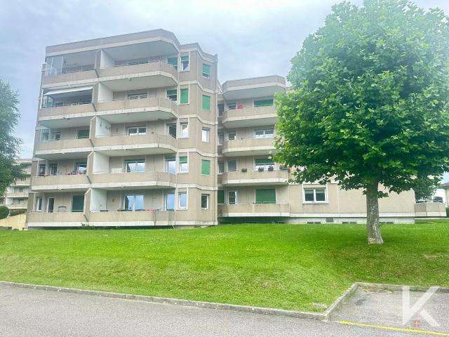 3,5 Zimmer Wohnung