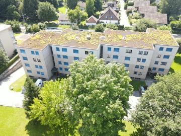 3,5 Zimmer Wohnung