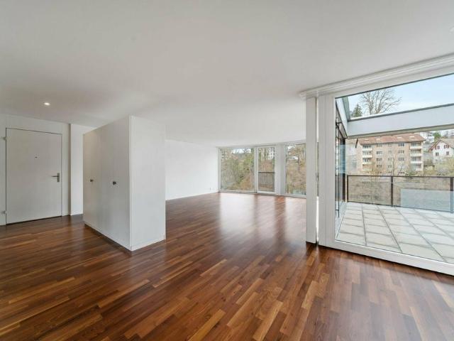 3.5 Zimmer Wohnung an der Reuss