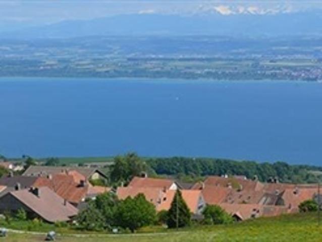 3.5 Zimmer Wohnung – Ein gemütliches Zuhause inmitten der Natur