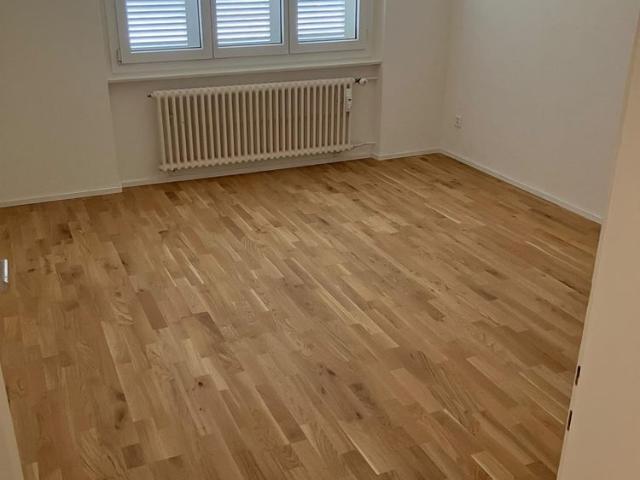 3.5 Zimmer Wohnung im Dachgeschoss