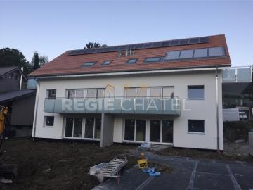 3.5 Zimmer Wohnung im Erdgeschoss