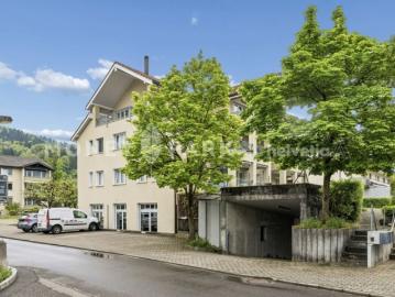 Goldau, Arth, Bezirk Schwyz, Kanton Schwyz