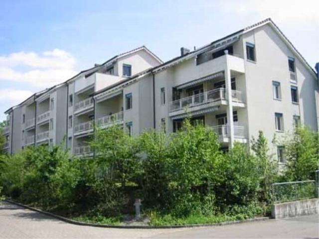 3.5 Zimmer Wohnung in der Nähe des Rheins