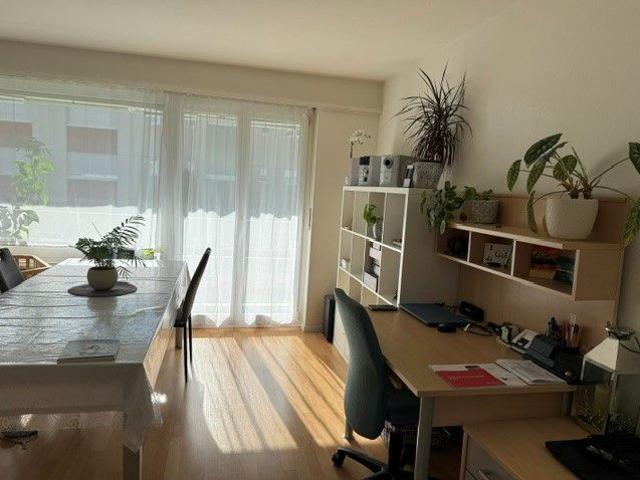 3.5 Zimmer Wohnung in Starrkirch Wil