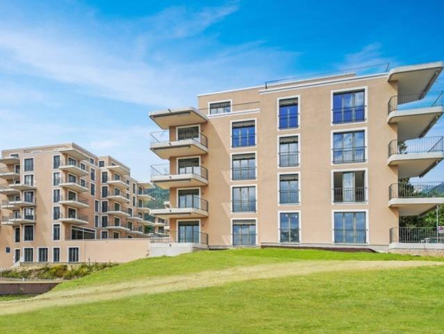 3.5 Zimmer Wohnung mit grosser Terrasse zu vermieten