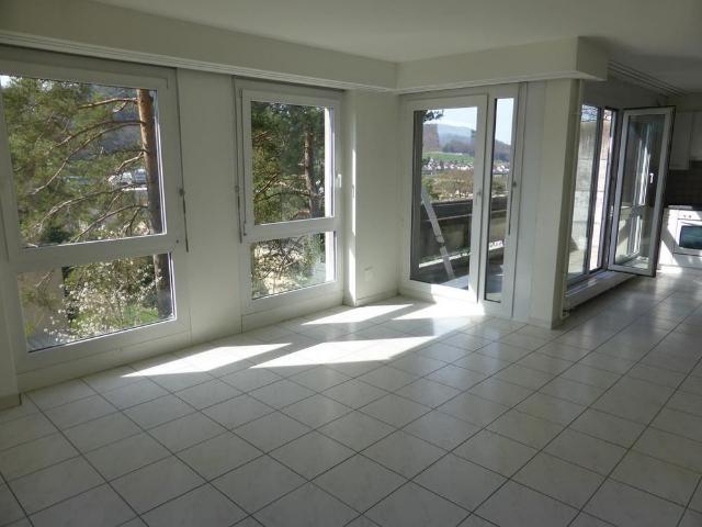 3.5 Zimmer Wohnung mit schöner Aussicht am Sonnenhügel zu vermieten