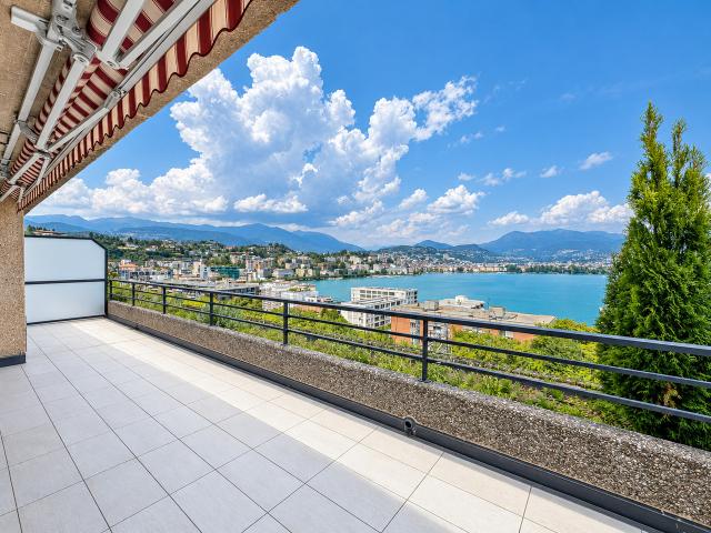 3,5 Zimmer Wohnung mit Seeblick in Paradiso
