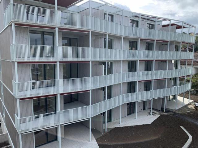 3,5 Zimmer Wohnung Nachmieter gesucht