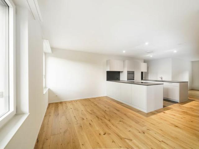 3.5 Zimmer, 100 m², EG
