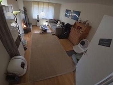 3.5 Zimmer, 100 m², 2. Stock