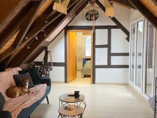 3.5 Zimmer, 100 m²