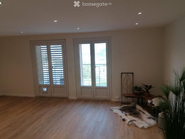 3.5 Zimmer, 100 m²