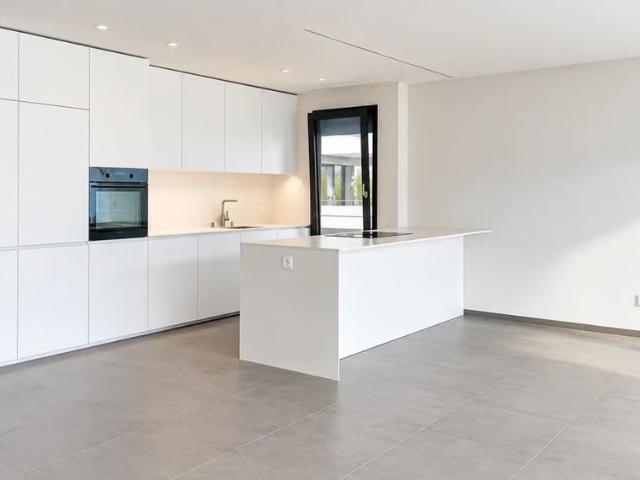 3.5 Zimmer, 100 m²