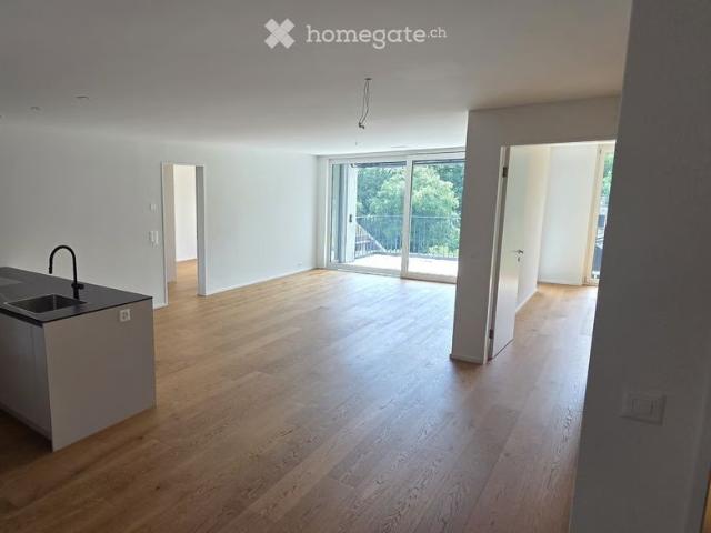 3.5 Zimmer, 104 m²