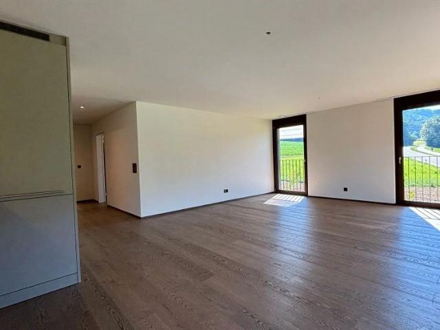 3.5 Zimmer, 105 m², 1. Stock