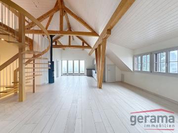 District de la Sarine, Kanton Freiburg