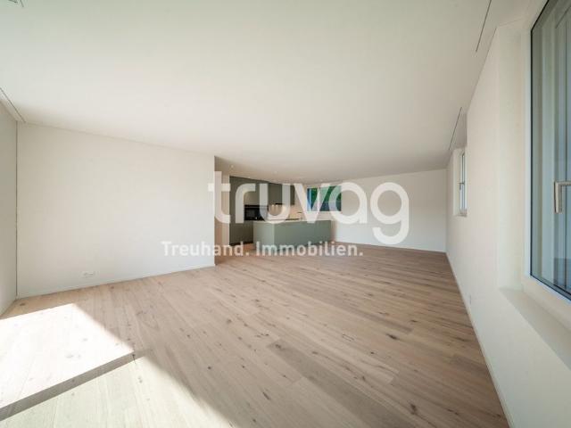 3.5 Zimmer, 116 m², EG