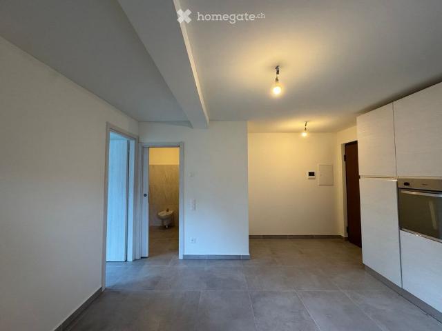 3.5 Zimmer, 45 m²
