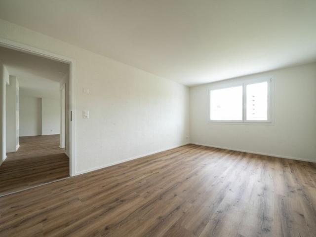 3.5 Zimmer, 65 m²