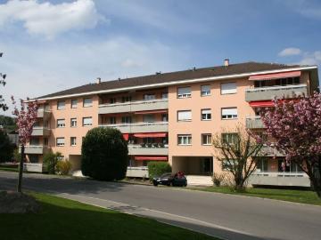 Ecublens, District de l'Ouest lausannois, Waadt